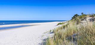 Camper Bros - wynajem przyczepy na półwyspie, 10m od plaży, klimatyzacja - 9
