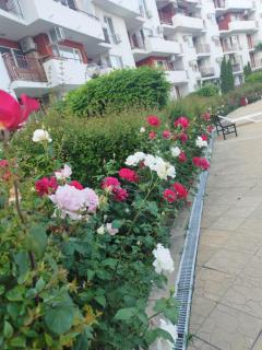 Fort Noks Grand Resort Wave&Dreams - 1