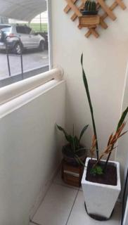 Lindo ao novo em ótima localização - 5