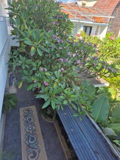 Laksmi Guest House - 6