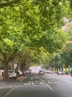 Paris in East Melbourne - Melbourne - 1
