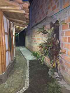 Qinti Quetzal Boutique Guest house y Elixir Bar - 8