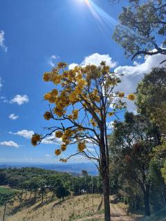 Chalés Ser Tão di Minas - 9