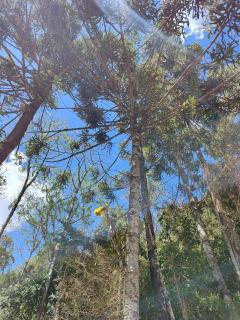 Chalés Ser Tão di Minas - 8