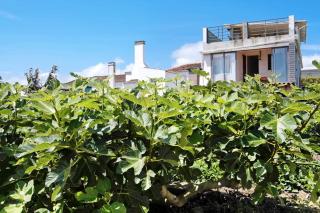 Casa de Férias Garrett - 6