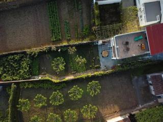 Casa de Férias Garrett - 7