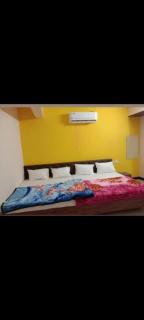 Hotel shree radhe palace - 9