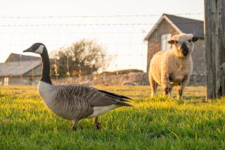 2 Bed in Whitwell oc-o33499 - 1