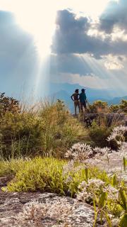 Wayanad Camping Hilltop - 8