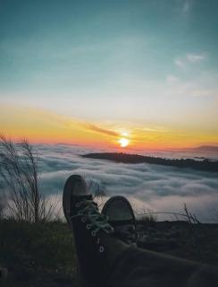 Wayanad Camping Hilltop - 5