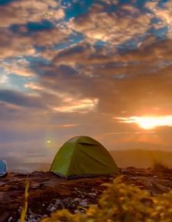 Wayanad Camping Hilltop - 4