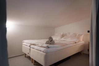 Auroras by Kaltios, Gielas, Ski-in Ski-out, Mountain view - 5