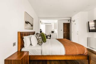 Bright Hyde Park Studio - 1