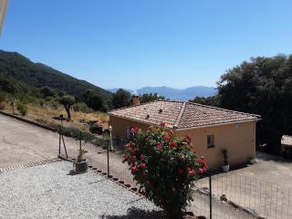 La Palombière - L Arbousier - 0