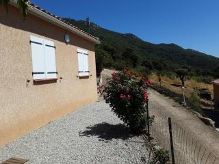 La Palombière - L Arbousier - 3