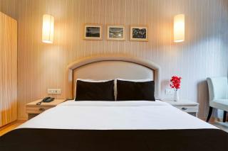 Townhouse Oak Sahastradhara Road Dehradun - 2