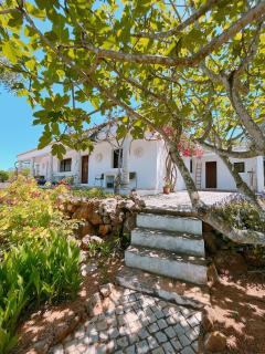 Casa dos Murtais - 8