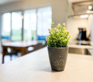 Weiße Villen Wohnung 25 - 3