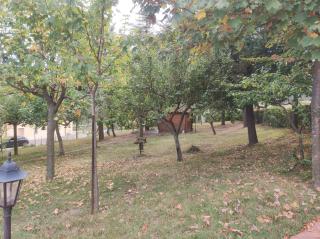 Nonno Pierino affittacamere - 7