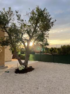 Villa con trullo Santo Scalone - 4