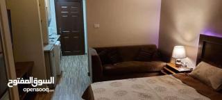 Fully furnished studio - 3