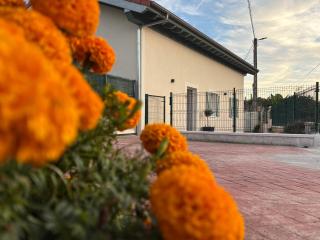 La Casuca del Olivo - 6