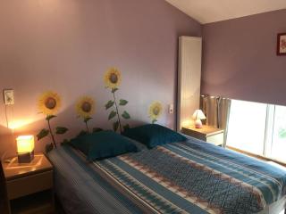 Le moulin de chaume - 1