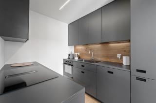 Luxury Lakeview Apartment in St Moritz Center - 6