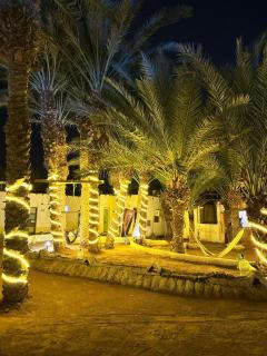 Badya Camp بادية كامب - 1