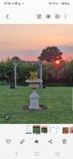 Hillvine - Hartpury - 9