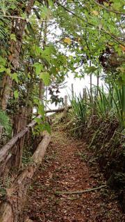 Pousada Casa Primitivus - Pedra Menina - 8