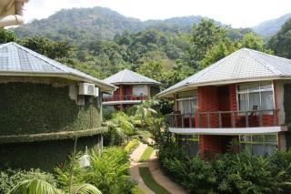 Udzungwa falls lodge - 6