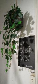 Charmant Studio Cosy - 9