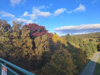 Private bedroom in a shared apartment - San Juan de Terranova - 3