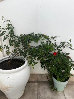 La terraza de la subbética - 3