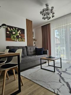 LAGUNA Apartament Polanica Residence 39 SPA - 8