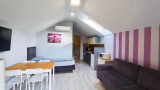 Wrzosowe Wzgórze Apartamenty - Chęciny - 9