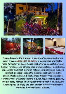 Areca Nest - 5