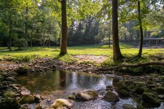 Up the Creek - 2