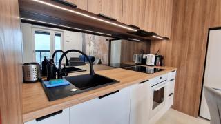 Luxury in City 15 Tobaco Park&Atlas Arena - 3