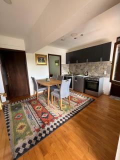 Vacation spot in Sarajevo in a calmest spacious area - 0