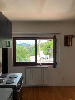 Vacation spot in Sarajevo in a calmest spacious area - 7