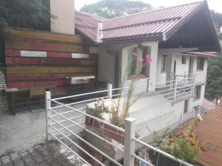 Vacation spot in Sarajevo in a calmest spacious area - 6