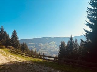 Naturblick - 3