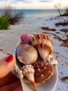 Romantic Beach Escape Steps to Sand & Sunset - 8