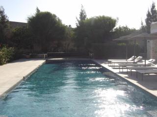 Les Agaves - 7
