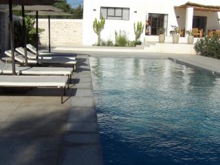 Les Agaves - 3