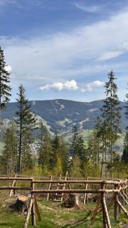 Vista 14 - Rokytnice nad Jizerou - 5