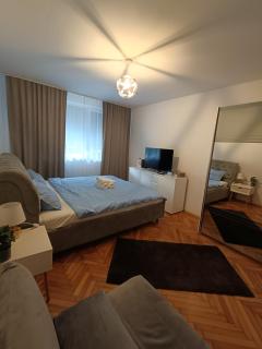 The Friendly Apartment - 0