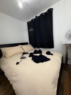 Double Room in London SW4 Zone 2 - 8